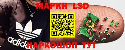 скорость Кимры