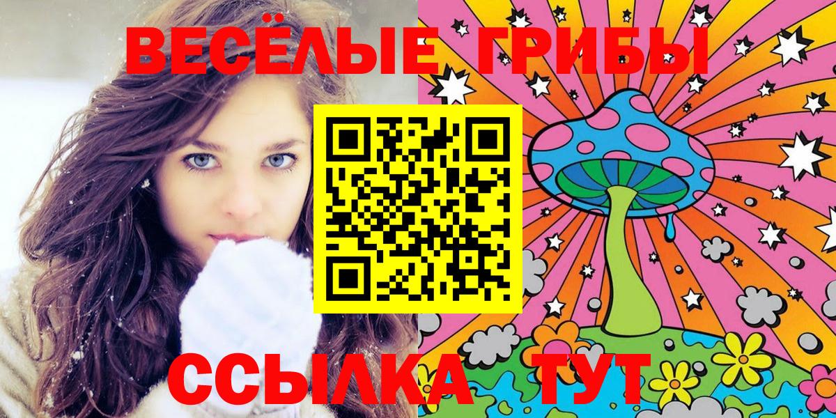 Псилоцибиновые грибы прущие грибы Бирск