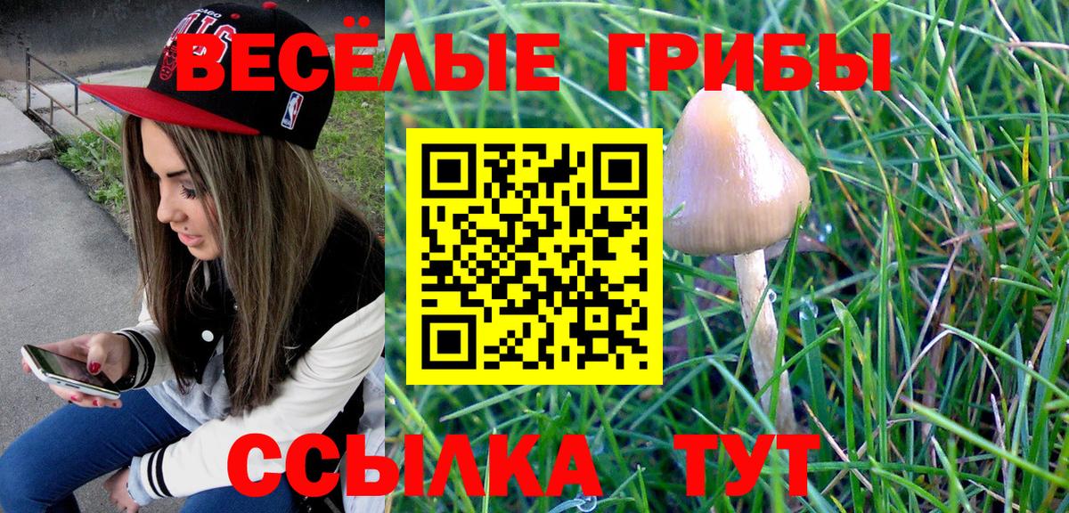 Галлюциногенные грибы ЛСД  Вход с VPN  Бирск 
